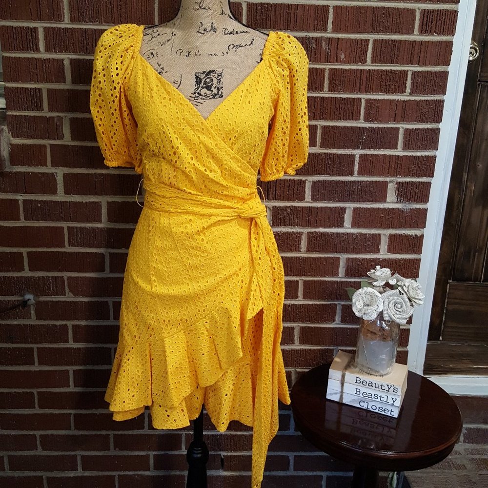 Sachin + Babi Davie Lace Wrap Ruffle Mini Dress